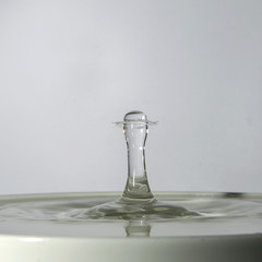 Wasser, Wassertropfen, Wasserspritzer, Wassertropfenkollision, Tropfenkollision, Watersplash,...