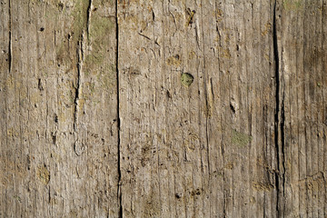 Aged wood texture