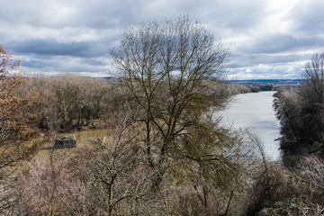 river with vegetation on the river bank