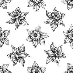 Seamless pattern with black and white daffodil