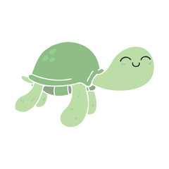 quirky hand drawn cartoon turtle