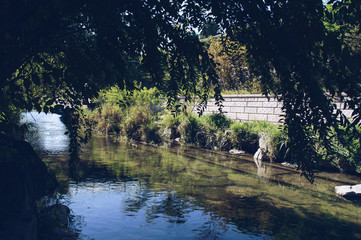 Fototapeta premium Cheonggyecheon Stream through tree branches