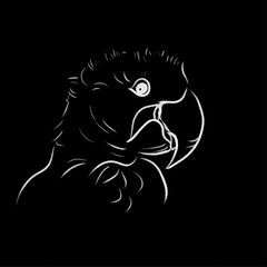 parrot line draw illustration