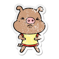 distressed sticker of a cartoon angry pig wearing tee shirt