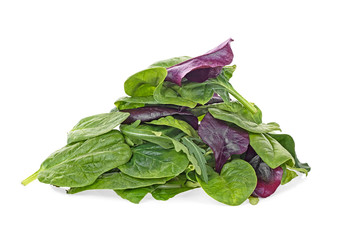 Salad mix with rucola, spinach, leaves of red chard and leaves of bulls blood, white background....