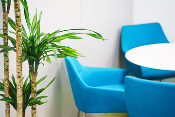 Details of the modern office. Interior and empty working public space. Green plants, furniture...