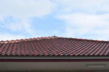 red roof and sky