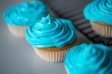 Cupcakes with blue icing on a grey worktop