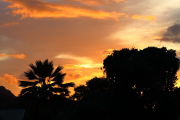 tropical sunset