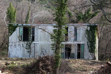 Abandoned old small hotel building with cracked facade and broken windows surrounded with tall...
