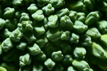 Broccoli flowers close up 