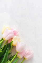 Bouquet of pink tulips on white background. Top view, copy space, close up. Spring card