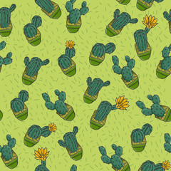 cactus patern on a green background