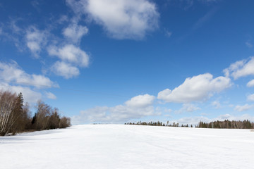 Sunny winter landscape of forest and field in the snow