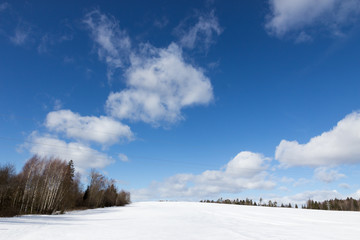 Sunny winter landscape of forest and field in the snow