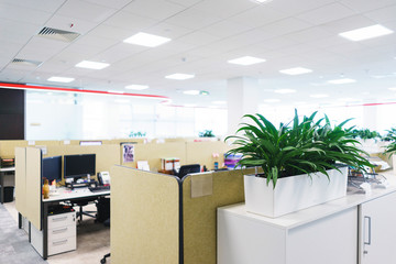 Details of the modern office. Interior and empty working public space. Green plants, furniture parts for employees.