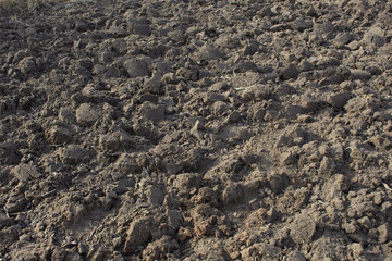 soil