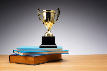 golden trophy on stack of book for education success concept. - 254665370