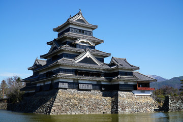 Fototapeta premium 松本城