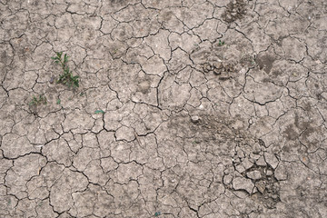 Background texture cracks on the ground. Drought is a desert region disaster. Stock photo