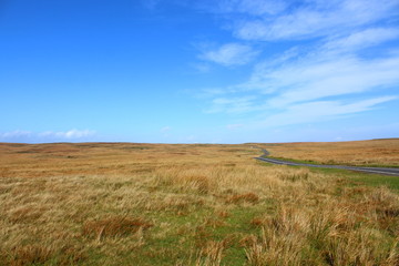 Outdoor Open Space Background