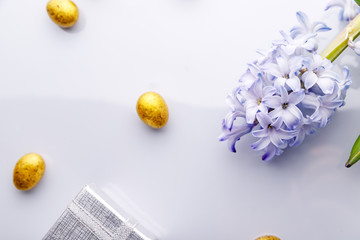 hyacinth present golden egg
