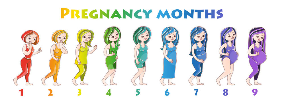 Pregnant girls. Vector illustration in cartoon style on a white background. Postcard, poster, poster for pregnant women