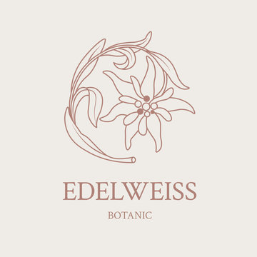 Flower design of the logo with a hand-drawn flower of Edelweiss