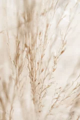 Rustikales Herbstfeld © Anneleven