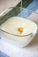 蜂蜜とヨーグルト