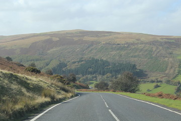 Road into Countryside