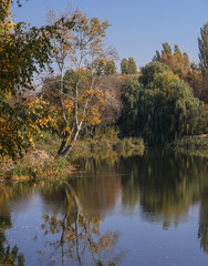 Beautiful autumn landscape in a beautiful park. Seasonal background for your design. Stock photo