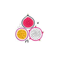 Vector isolated tropical fruits. Pitahaya or pitaya ,passion fruit, fig. Creative artistic style. It can be use for card, postcard, cover, banner, print on clothes, home decor, label, package design