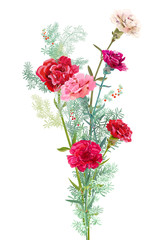 Bouquet of carnation schabaud, pink, white, red flowers, green twigs asparagus, white background, card for Mother's Day, Victory day, digital draw, illustration in watercolor style, vector