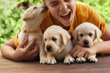 Teenager boy holding his cute labrador puppies, having fun  and enjoy their company