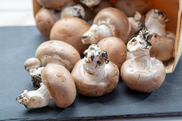 Fresh organic brown chestnut champignons from underground caves in Belgium