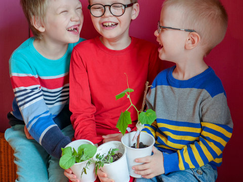 Happy kids in glasses with flower pot for growing seedlings. Bright emotions. Green plant in black earth. Children is happy at home. Preparation for new season of farmer. Tomato, eggplant, cucumber