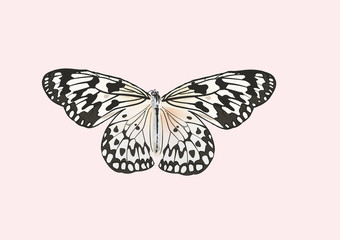 Happy women's day greeting card. Postcard on March 8. Text with flowers and butterflies