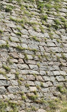 old stone wall with green moss