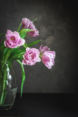 Pink tulips in a vase on a dark background