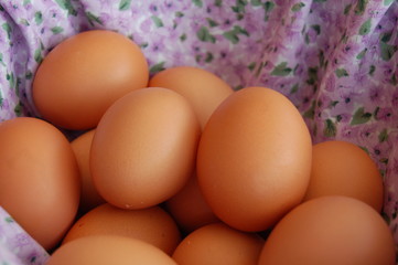 eggs in a basket