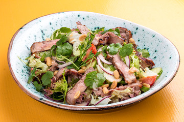 Salad with roast beef, radish and apple