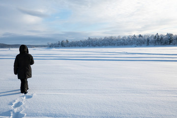 Winter in Lapland