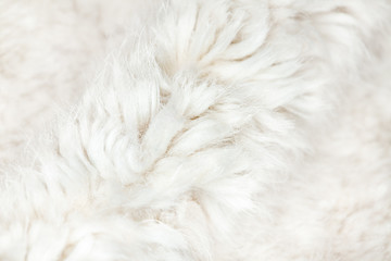 White fluffy fur