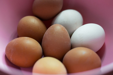 Hard boiled chicken eggs