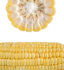 Sweet corn isolated on white background