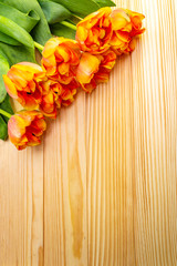 Spring romantic concept. Gentle tulip on wooden background. Card, wallpaper, copy space.