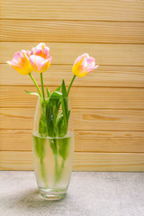 Spring romantic concept. Gentle tulip in glass vase on wooden stone background. Card, wallpaper, copy space.