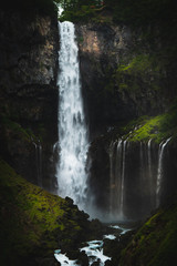 Obraz premium waterfall in the forest