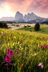 Sunrise in the italian Dolomites - obrazy, fototapety, plakaty